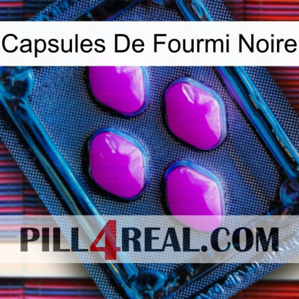Black Ant Capsules 04